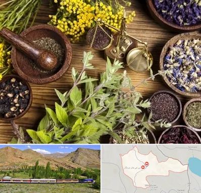 دکتر طب سنتی خانم در خاش