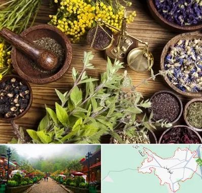 دکتر طب سنتی خانم در فومن