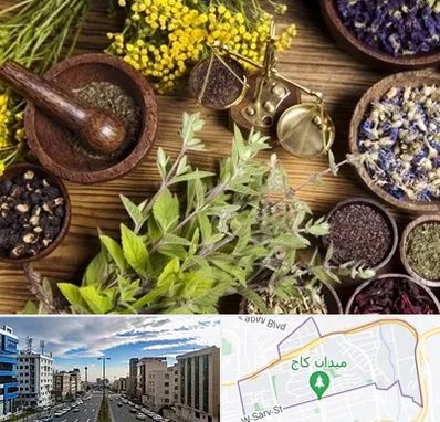 دکتر طب سنتی خانم در سعادت آباد 