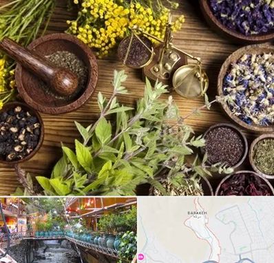 دکتر طب سنتی خانم در درکه