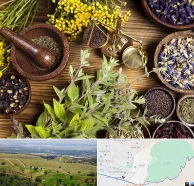 دکتر طب سنتی خانم در سوهانک