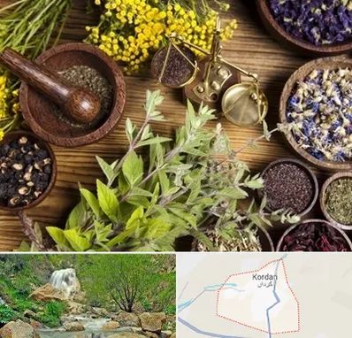 دکتر طب سنتی خانم در کردان