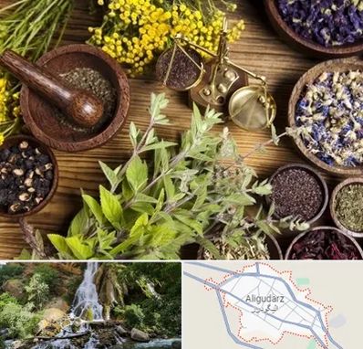 دکتر طب سنتی خانم در الیگودرز