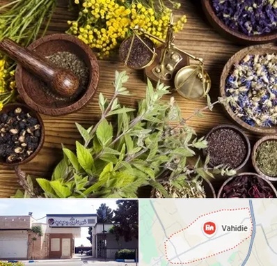 دکتر طب سنتی خانم در وحیدیه شهریار