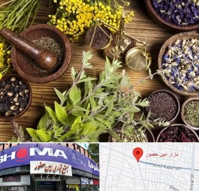 دکتر طب سنتی خانم در امین حضور