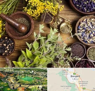 دکتر طب سنتی خانم در بروجرد