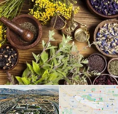 دکتر طب سنتی خانم در منطقه 21 تهران 