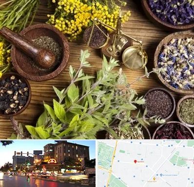 دکتر طب سنتی خانم در بلوار سجاد مشهد 