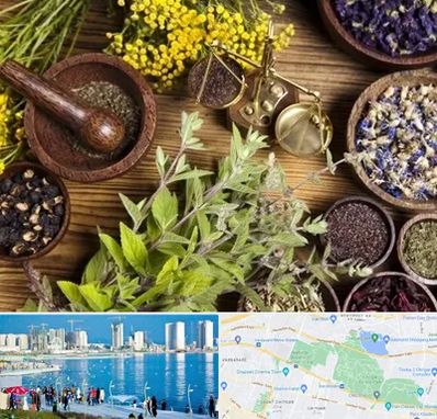 دکتر طب سنتی خانم در چیتگر 