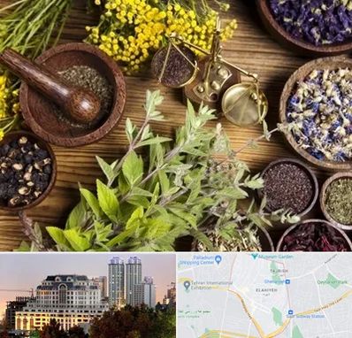 دکتر طب سنتی خانم در فرشته 