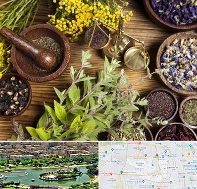 دکتر طب سنتی خانم در منطقه 9 تهران 