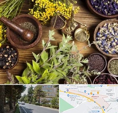 دکتر طب سنتی خانم در مهرویلا کرج 