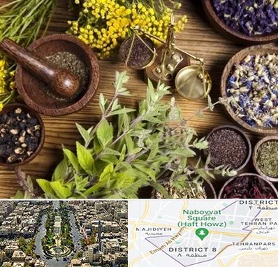 دکتر طب سنتی خانم در نارمک 