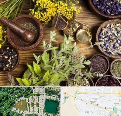 دکتر طب سنتی خانم در وکیل آباد مشهد 