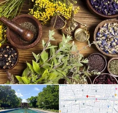 دکتر طب سنتی خانم در هشت بهشت اصفهان 