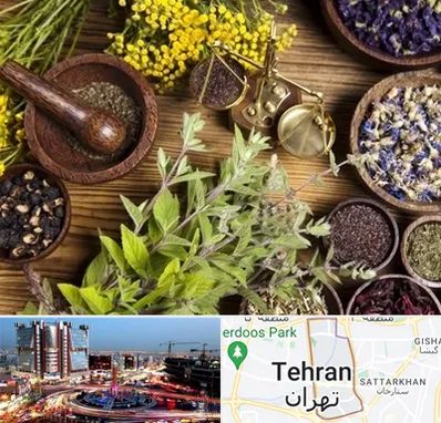 دکتر طب سنتی خانم در صادقیه 