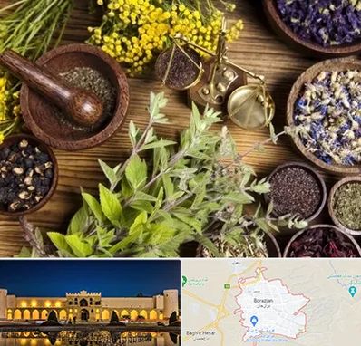 دکتر طب سنتی خانم در برازجان