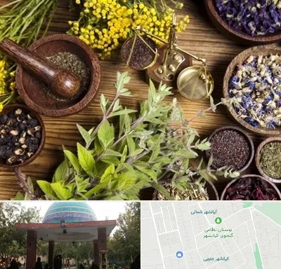 دکتر طب سنتی خانم در کیانشهر