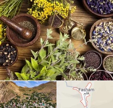 دکتر طب سنتی خانم در فشم