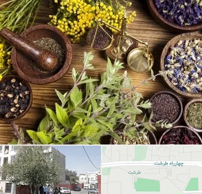 دکتر طب سنتی خانم در طرشت