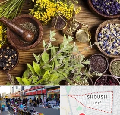 دکتر طب سنتی خانم در شوش
