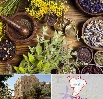 دکتر طب سنتی خانم در مینی سیتی