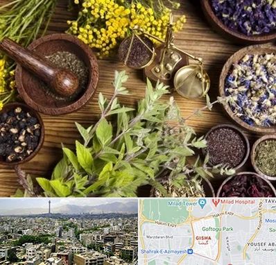 دکتر طب سنتی خانم در گیشا 