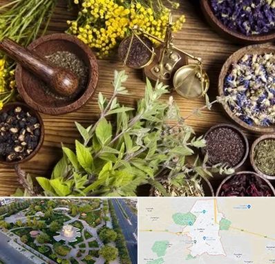 دکتر طب سنتی خانم در کاشمر