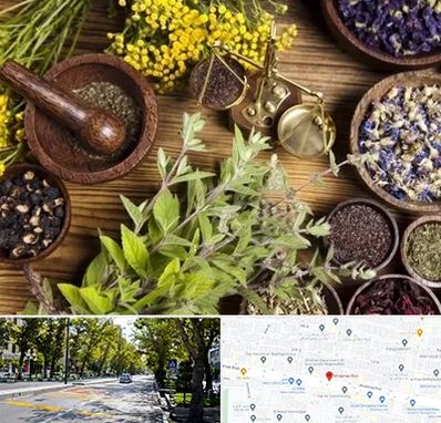 دکتر طب سنتی خانم در میرداماد 