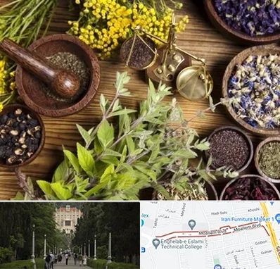 دکتر طب سنتی خانم در بلوار معلم رشت 