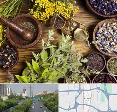 دکتر طب سنتی خانم در توانیر