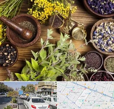 دکتر طب سنتی خانم در مفتح مشهد 