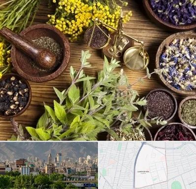 دکتر طب سنتی خانم در جمشیدیه