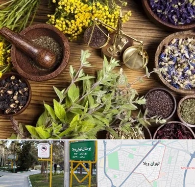دکتر طب سنتی خانم در تهران ویلا