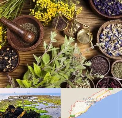 دکتر طب سنتی خانم در بندرلنگه