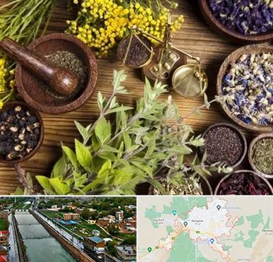 دکتر طب سنتی خانم در مراغه