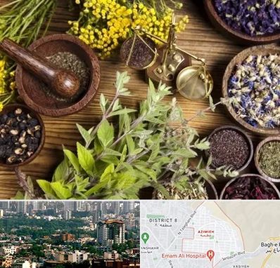 دکتر طب سنتی خانم در عظیمیه کرج 