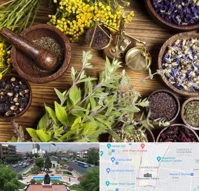 دکتر طب سنتی خانم در بهارستان 