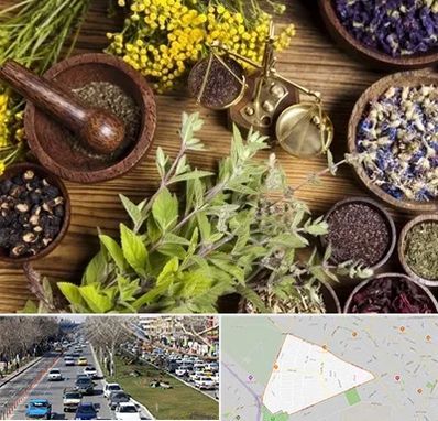 دکتر طب سنتی خانم در احمدآباد مشهد 