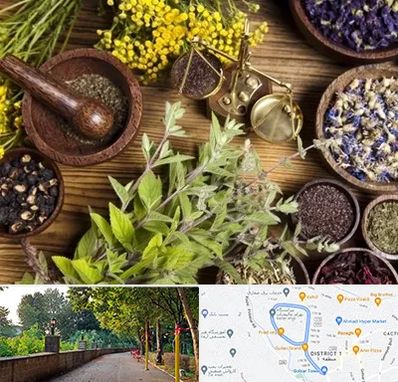 دکتر طب سنتی خانم در بلوار گیلان رشت 