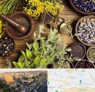 دکتر طب سنتی خانم در تهرانپارس 