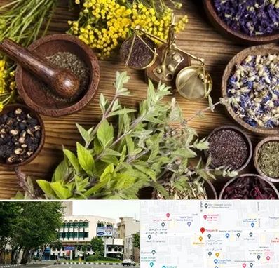 دکتر طب سنتی خانم در طالقانی 