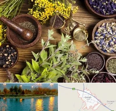 دکتر طب سنتی خانم در قروه