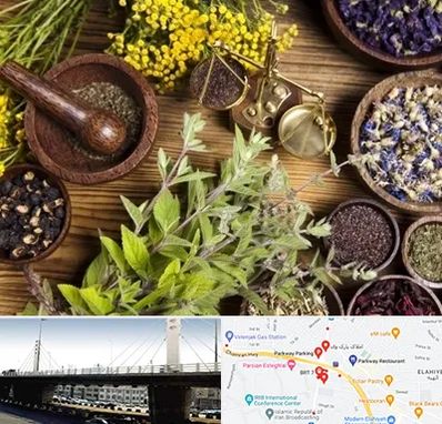 دکتر طب سنتی خانم در پارک وی 