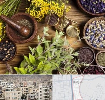 دکتر طب سنتی خانم در اسکندری