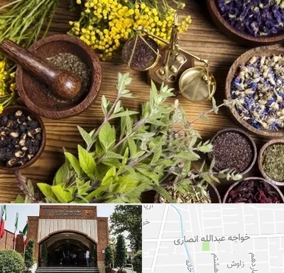 دکتر طب سنتی خانم در خواجه عبدالله