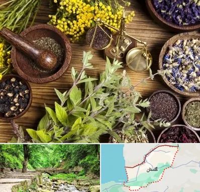 دکتر طب سنتی خانم در گلستان