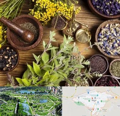 دکتر طب سنتی خانم در بجنورد