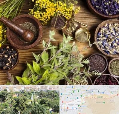 دکتر طب سنتی خانم در منطقه 13 تهران 