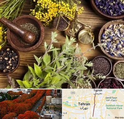 دکتر طب سنتی خانم در ولیعصر 